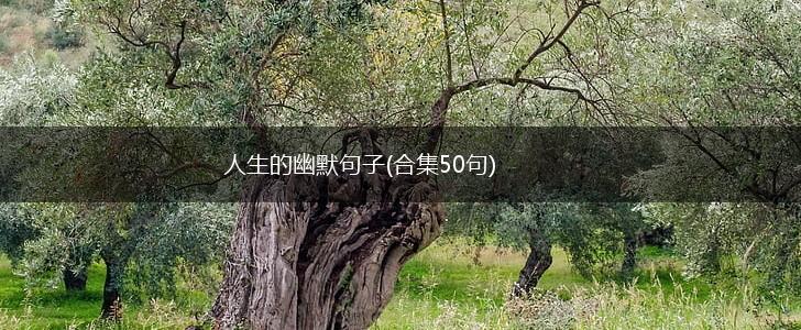 人生的幽默句子(合集50句),第1张