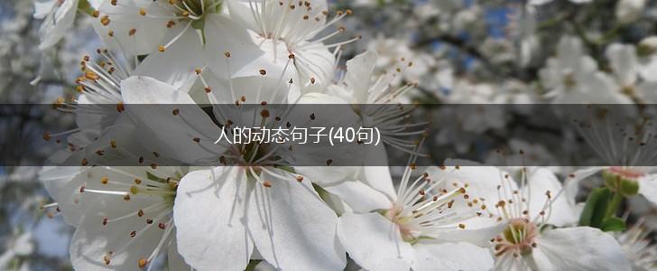 人的动态句子(40句),第1张