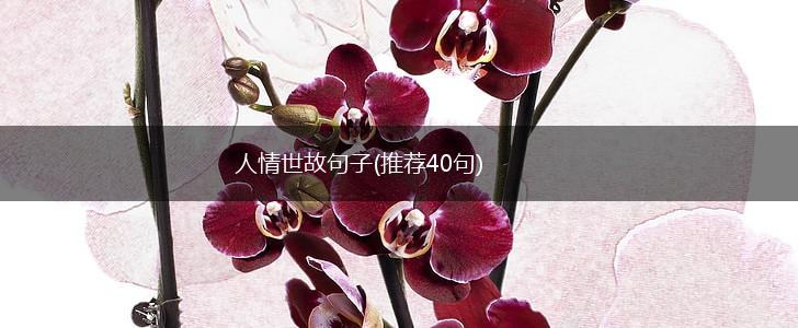 人情世故句子(推荐40句),第1张