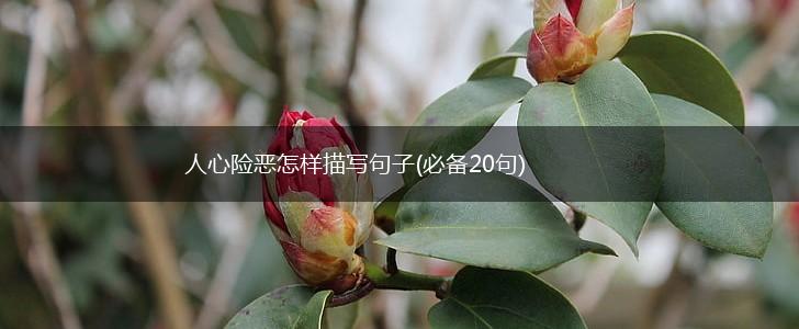 人心险恶怎样描写句子(必备20句),第1张