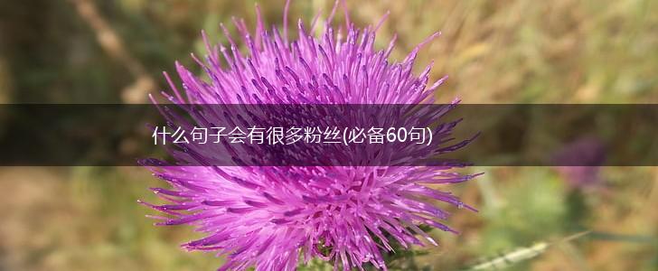 什么句子会有很多粉丝(必备60句),第1张