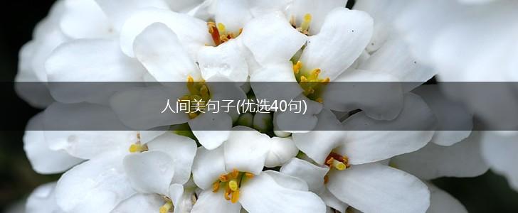 人间美句子(优选40句),第1张