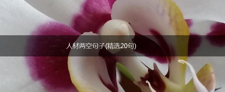 人材两空句子(精选20句),第1张