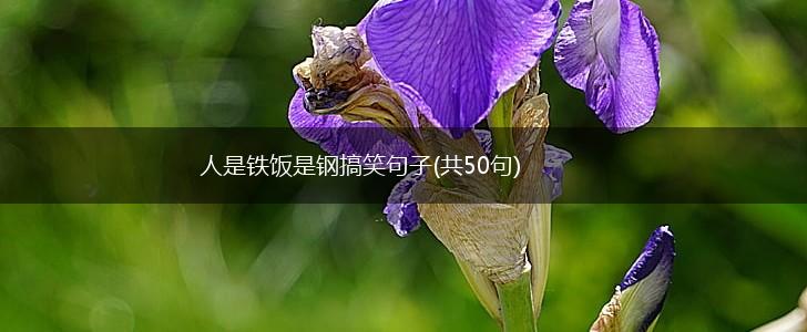 人是铁饭是钢搞笑句子(共50句),第1张