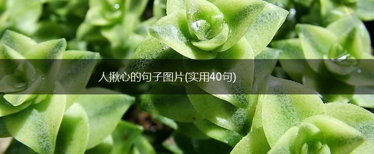 人揪心的句子图片(实用40句),第1张