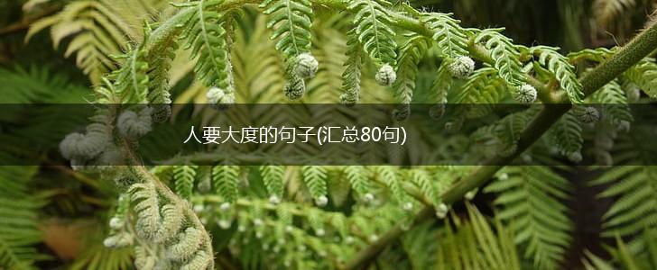 人要大度的句子(汇总80句),第1张