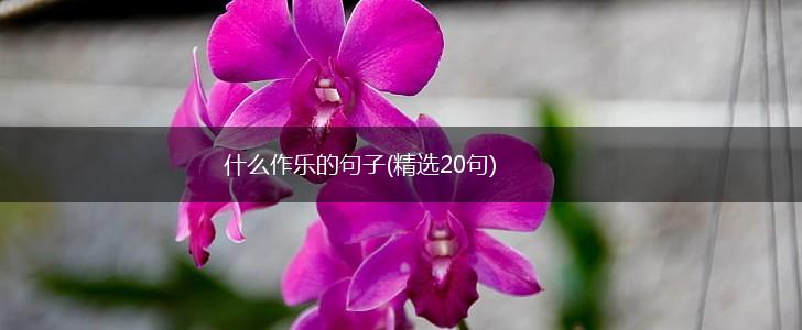 什么作乐的句子(精选20句),第1张