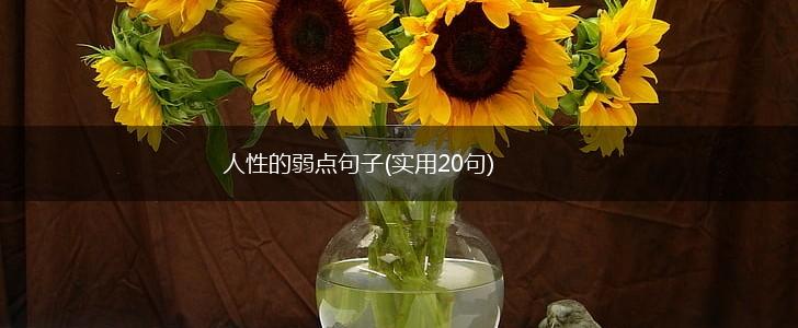 人性的弱点句子(实用20句),第1张