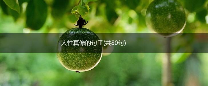 人性真像的句子(共80句),第1张