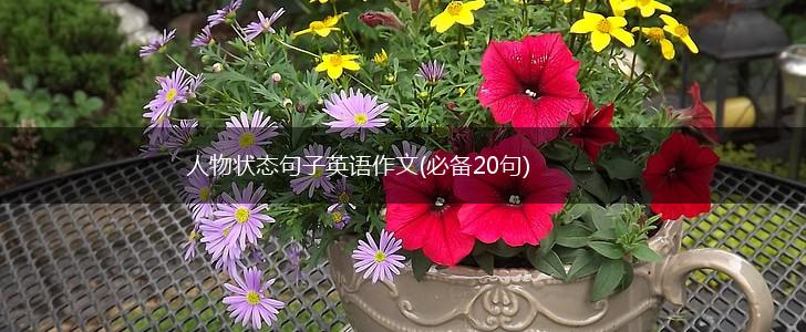 人物状态句子英语作文(必备20句),第1张