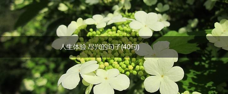 人生体验 尽兴的句子(40句),第1张