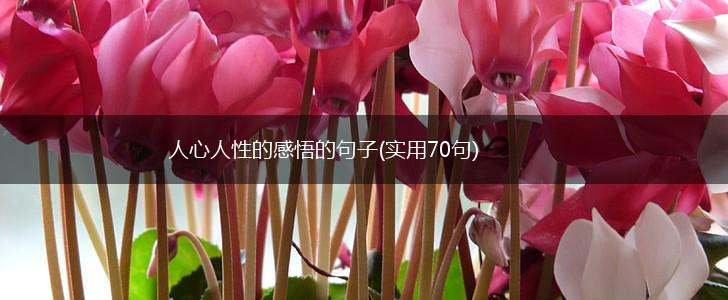 人心人性的感悟的句子(实用70句),第1张