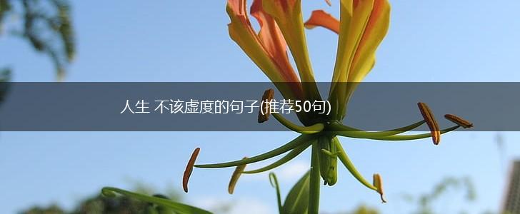人生 不该虚度的句子(推荐50句),第1张