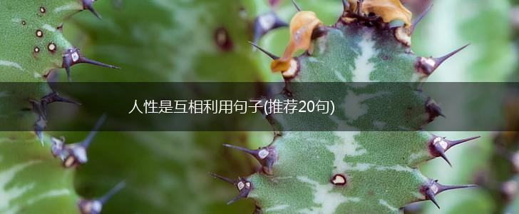 人性是互相利用句子(推荐20句),第1张