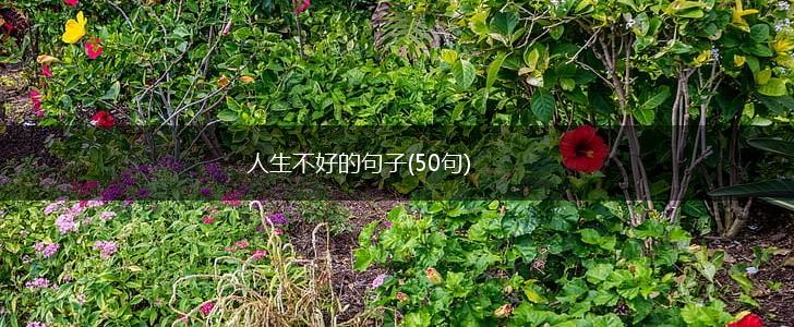 人生不好的句子(50句),第1张