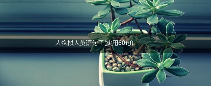 人物拟人英语句子(实用60句),第1张