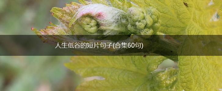 人生低谷的短片句子(合集60句),第1张