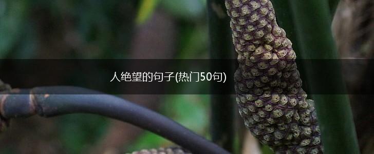 人绝望的句子(热门50句),第1张