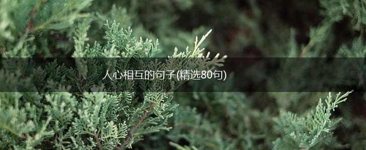 人心相互的句子(精选80句),第1张