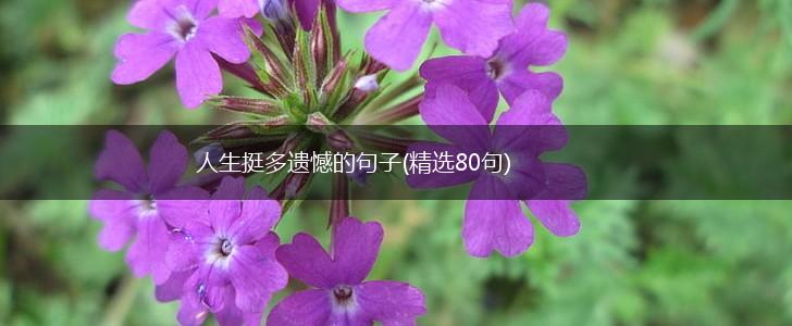 人生挺多遗憾的句子(精选80句),第1张