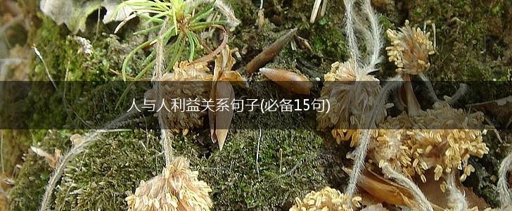 人与人利益关系句子(必备15句),第1张