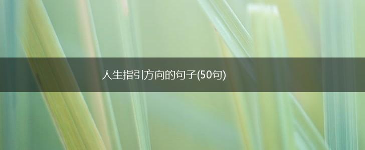 人生指引方向的句子(50句),第1张