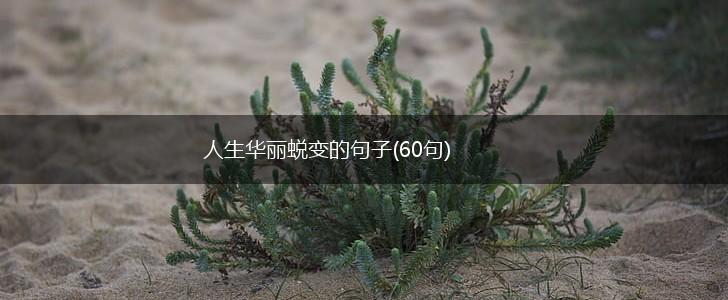 人生华丽蜕变的句子(60句),第1张