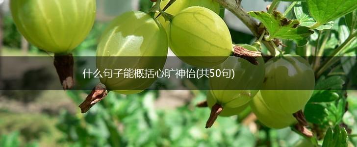 什么句子能概括心旷神怡(共50句),第1张
