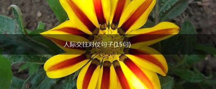 人际交往对仗句子(15句),第1张