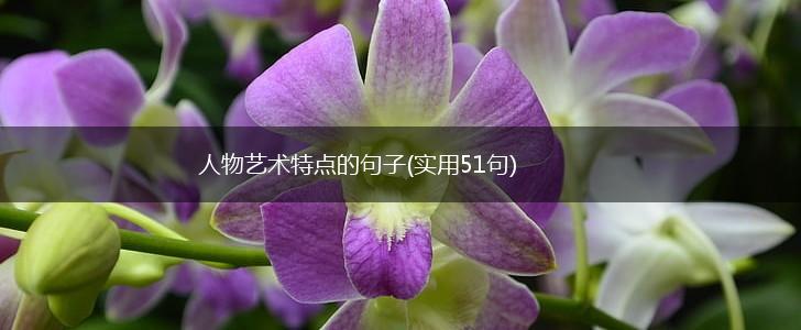 人物艺术特点的句子(实用51句),第1张