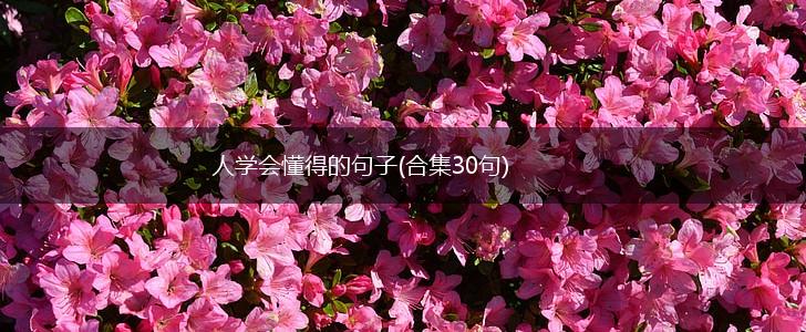 人学会懂得的句子(合集30句),第1张