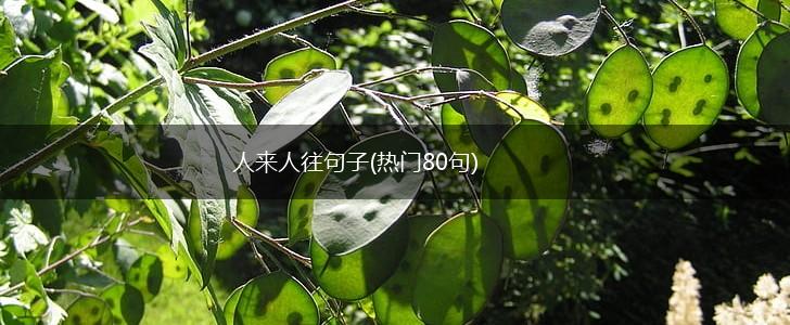 人来人往句子(热门80句),第1张