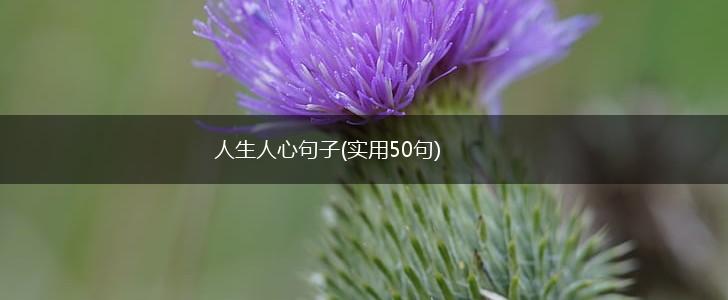 人生人心句子(实用50句),第1张