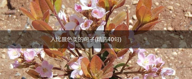 人比景色美的句子(精选40句),第1张