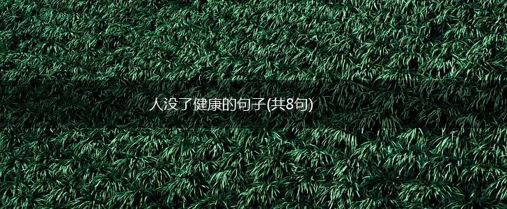 人没了健康的句子(共8句),第1张