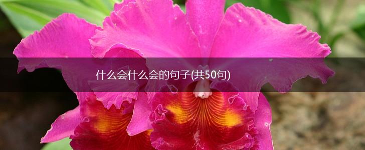 什么会什么会的句子(共50句),第1张