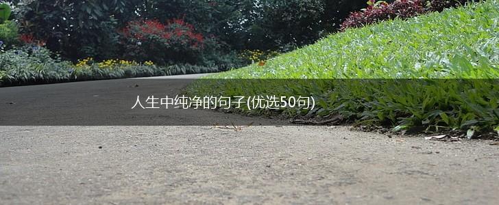 人生中纯净的句子(优选50句),第1张