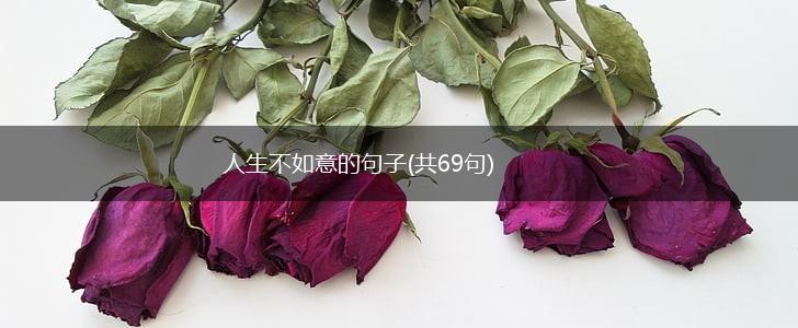 人生不如意的句子(共69句),第1张