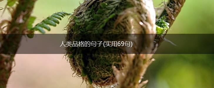 人类品格的句子(实用69句),第1张