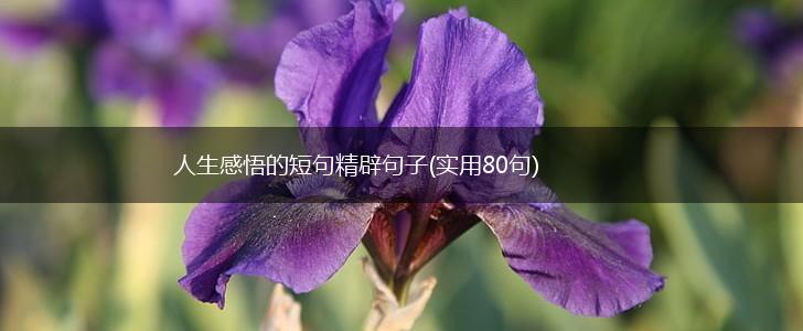 人生感悟的短句精辟句子(实用80句),第1张