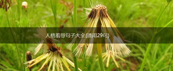 人格羞辱句子大全(通用29句),第1张