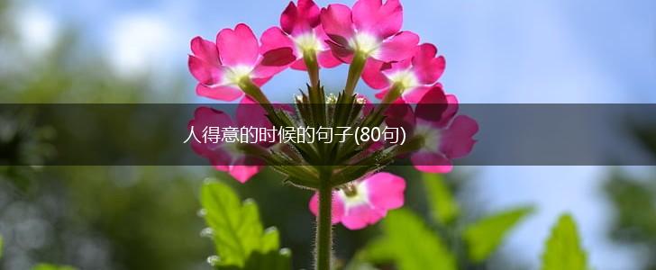人得意的时候的句子(80句),第1张
