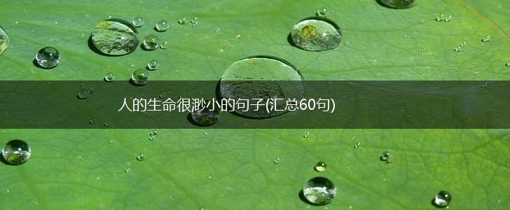 人的生命很渺小的句子(汇总60句),第1张