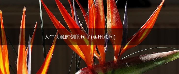 人生失意时刻的句子(实用70句),第1张