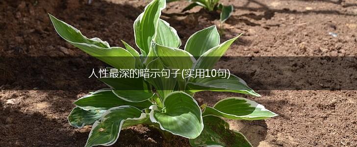 人性最深的暗示句子(实用10句),第1张