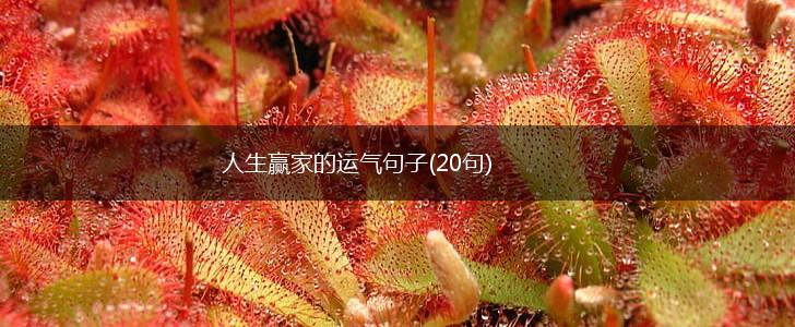 人生赢家的运气句子(20句),第1张