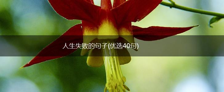 人生失败的句子(优选40句),第1张