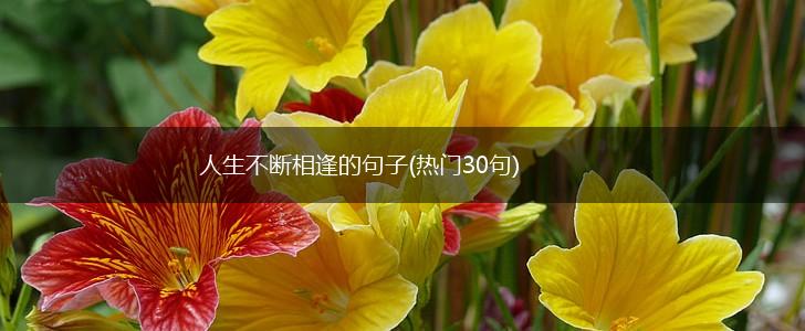 人生不断相逢的句子(热门30句),第1张
