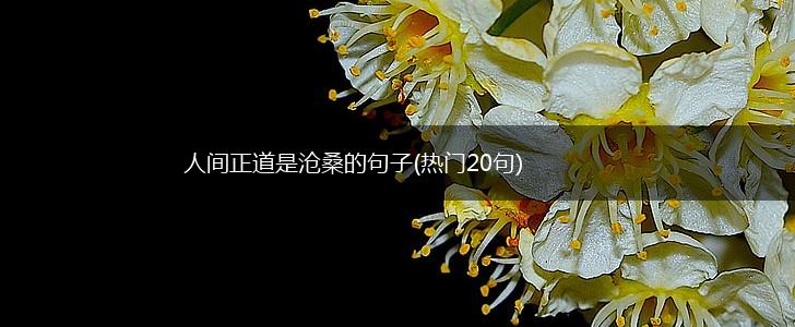 人间正道是沧桑的句子(热门20句),第1张