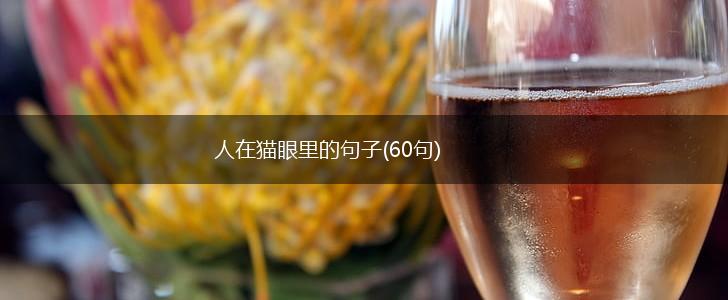 人在猫眼里的句子(60句),第1张